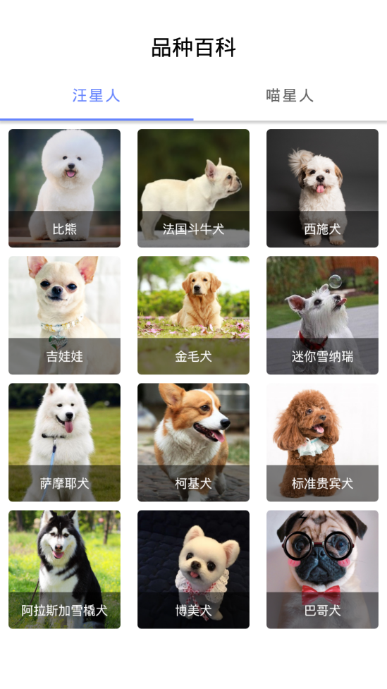 优宠快报app1.0 手机最新版截图3