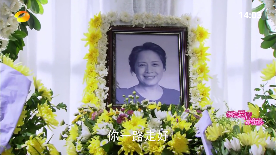 挺好电视直播app1.0.1 清爽版截图4