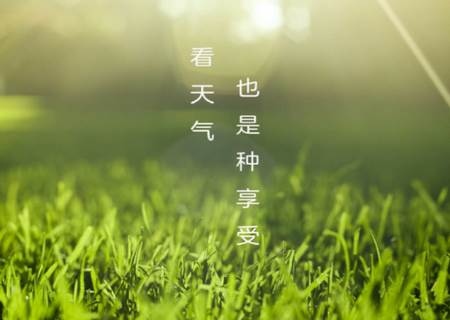 微鲤天气预报软件