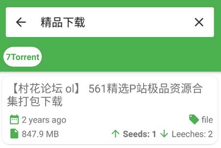 TorrentRevolution种子搜索引擎汉化版