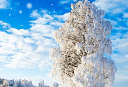 优美壁纸App 优美壁纸App