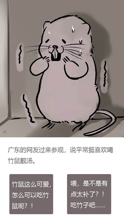 竹鼠活下去怎么玩_竹鼠活下去游戏玩法介绍(1)