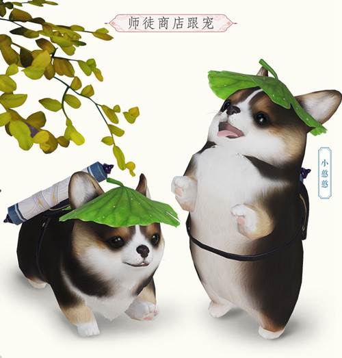 剑网3小憨憨怎么获得？小憨憨跟宠获取方法