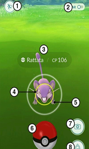 pokemon go怎么抓精灵 pokemon go抓精灵技巧
