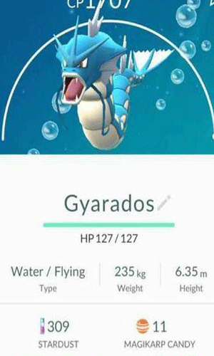 口袋妖怪go最强cp 口袋妖怪go最强cp介绍